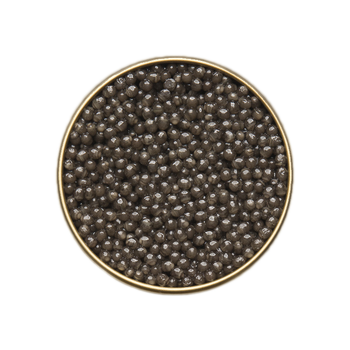 30g　三ツ星キャビア　Three　Caviar　Stars　BELUGA（ベルーガ）ギフトセット